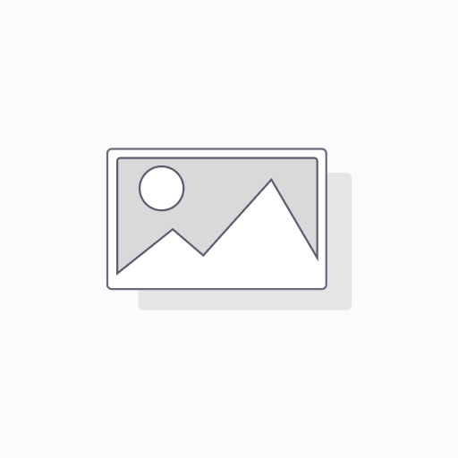 RUT202 LTE dual SIM