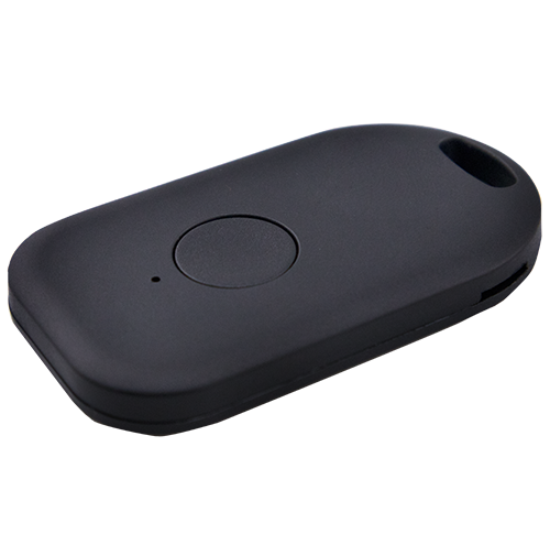 WKF300 - BLE Key Fob