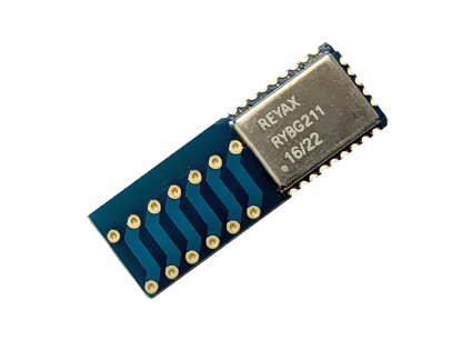 [RYBG211_10289] RYBG211: 2.4GHz Bluetooth 5.1 High power long range module with Integrated Antenna