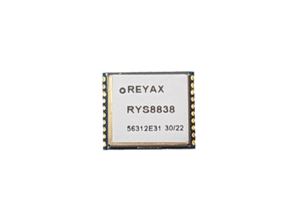[RYS8838_10320] RYS8838